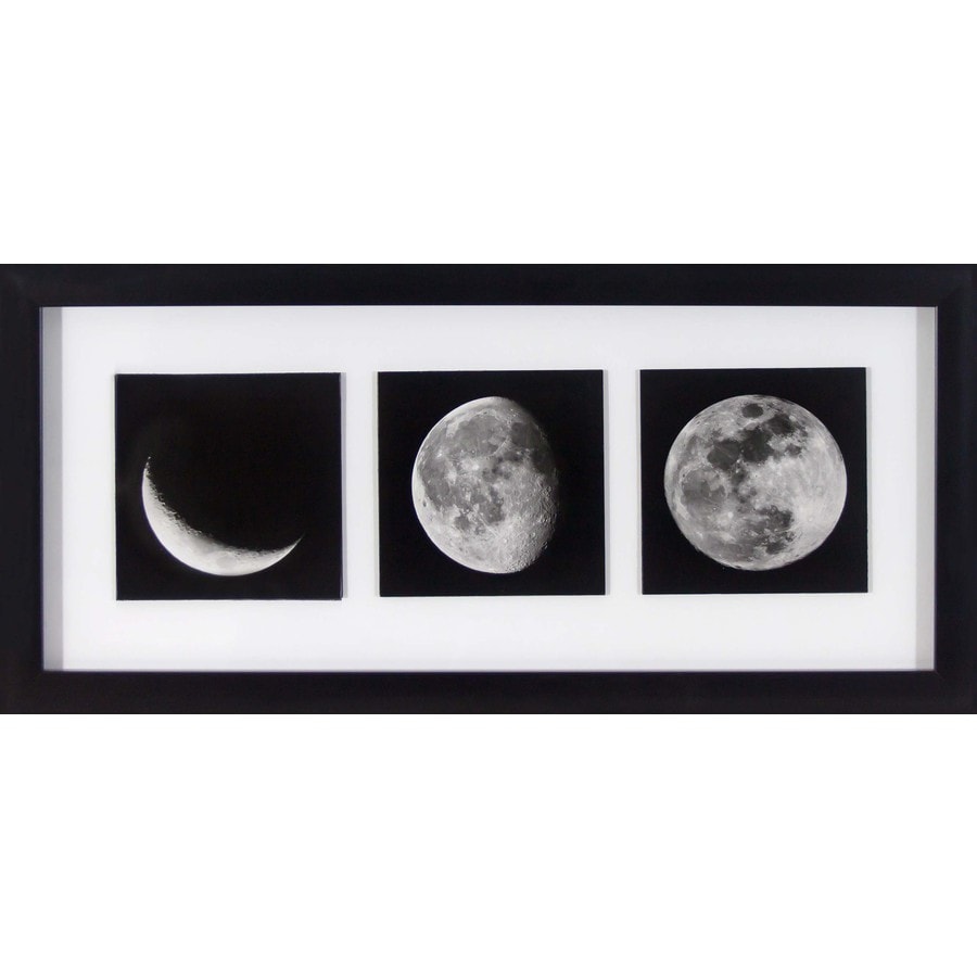 Shop 26in W x 12in H Framed Photography Wall Art at