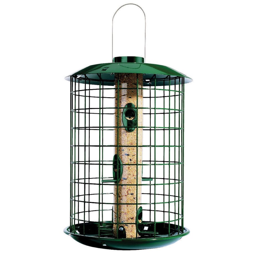 Duncraft Selective Bird Feeder At Lowes Com