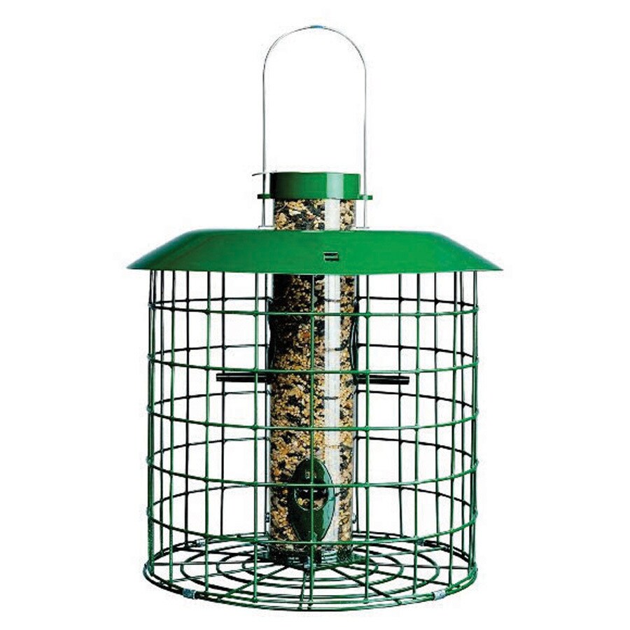 Duncraft Accent Selective Metal Squirrel Resistant Tube Bird