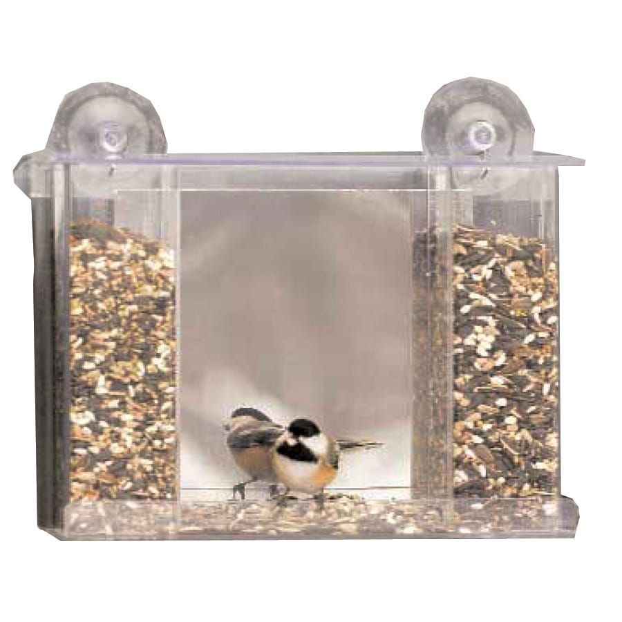 Duncraft Plastic Squirrel Resistant Platform Bird Feeder At Lowes Com