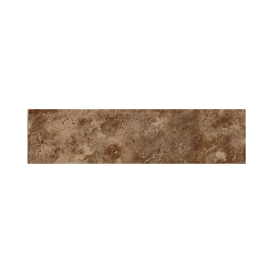 shop american olean belmar tortouise ceramic bullnose tile common 3 in x 12 in actual 3 in x shop american olean belmar tortouise ceramic bullnose tile common 3 in x 12 in actual 3 in x