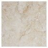 Shop American Olean Bordeaux 6-Pack Creme Porcelain Floor and Wall Tile ...