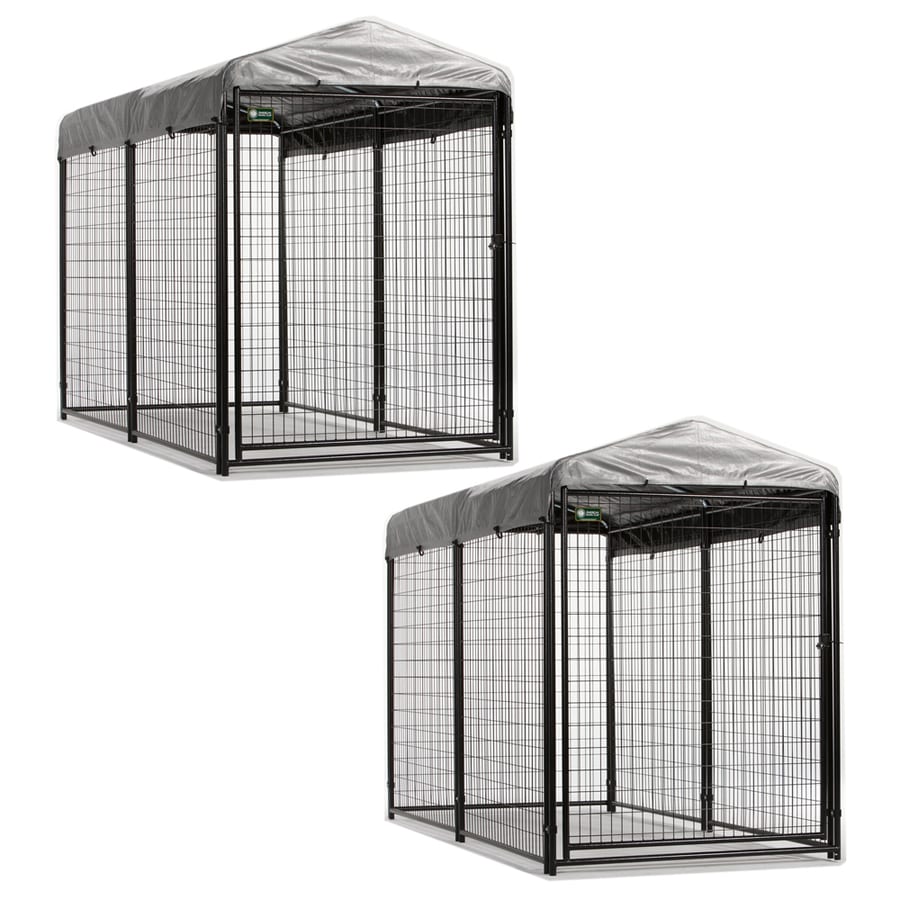 Akc shop outdoor kennel