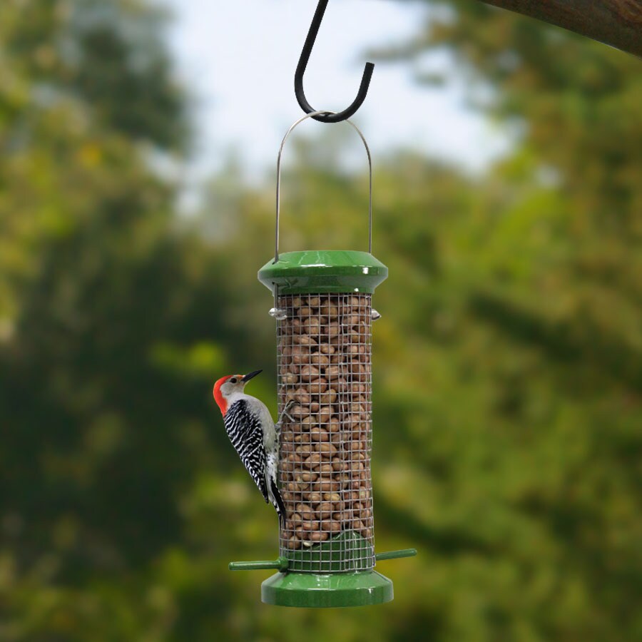 garden treasures green metal suet bird feeder