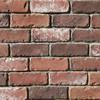 Coronado Stone Products Special Used Brick 10-Pack 2.5-in ...