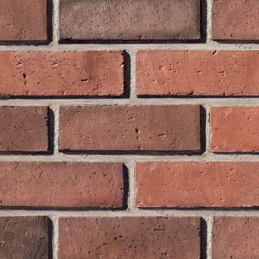 Coronado 03011010BX 8-in Wirecut Brick - La Jolla Blend, Corners, Linear Feet Brick Veneer Individual brick veneer