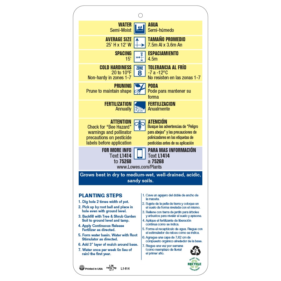  NURSERY trees - View #3