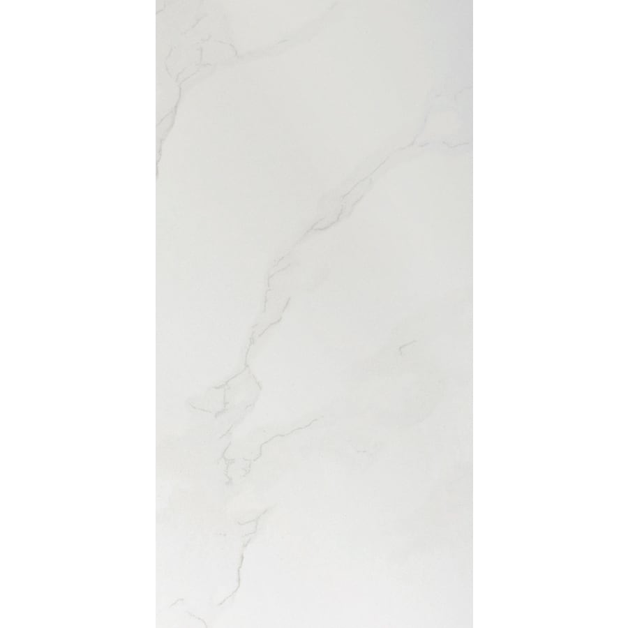 Emser Paladino 8 Pack Albanella Porcelain Floor And Wall Tile Emser Paladino 8 Pack Albanella Porcelain Floor And Wall Tile Common 12