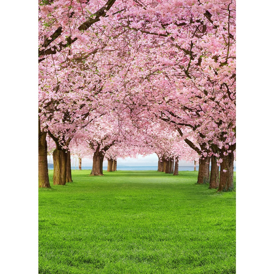 Black WallPops WPE2489 Circa Monthly Calendar