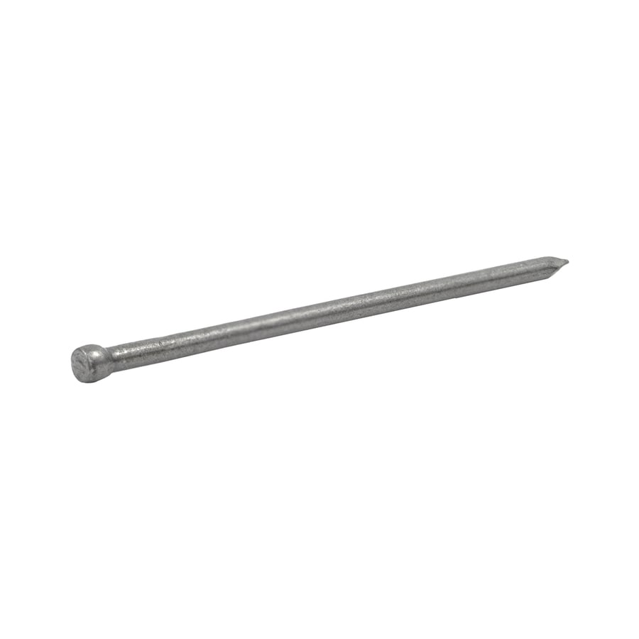 Shop 1-lb 13-Gauge 2.5-in Bright Steel Finish Nail at 