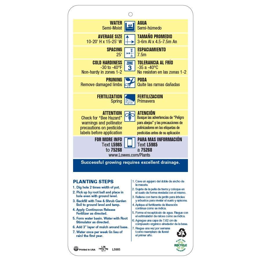 Lowe's NURSERY trees - View #3
