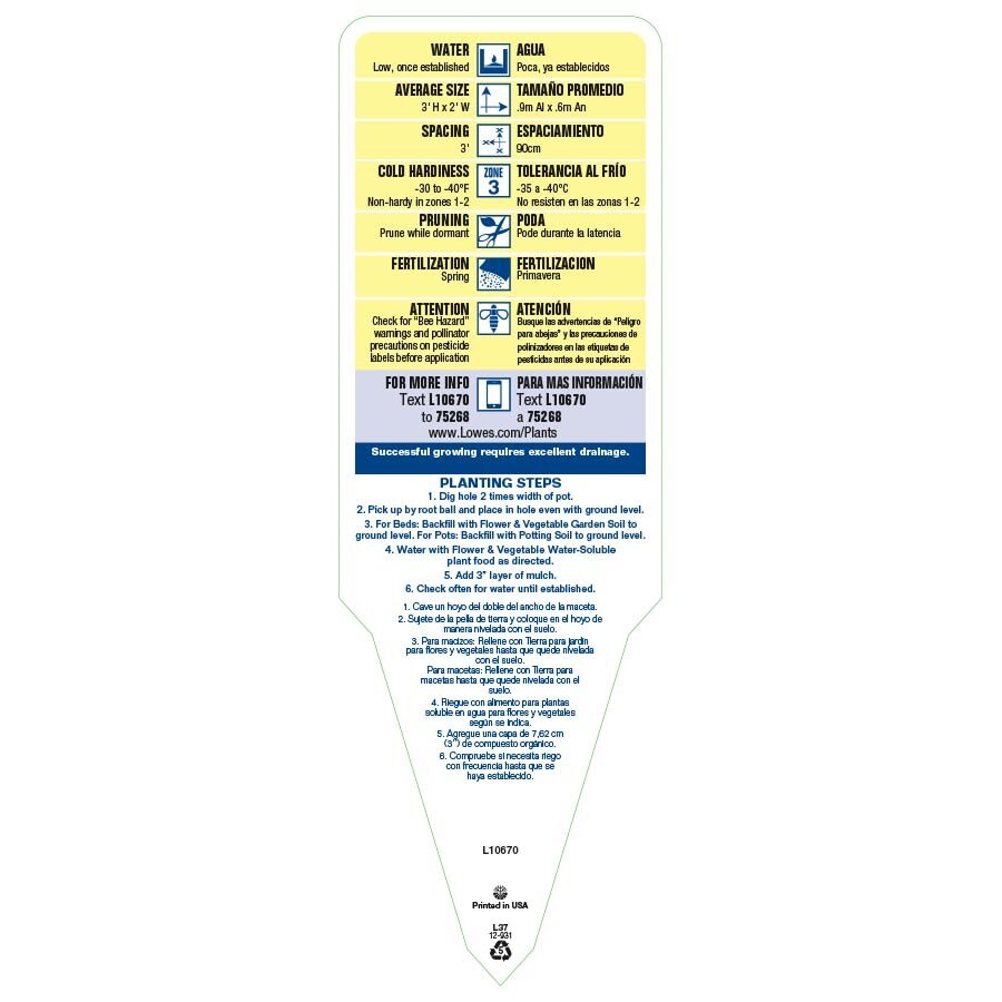 Lowe's NURSERY perennials - View #3
