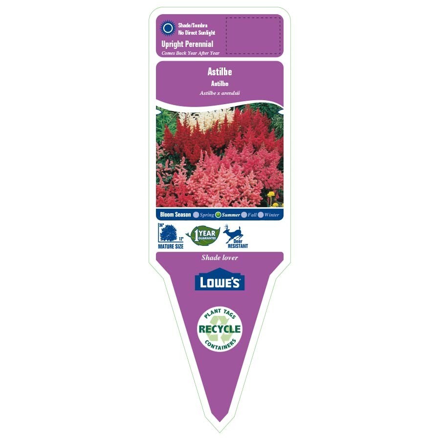 Lowe's NURSERY  - View #2