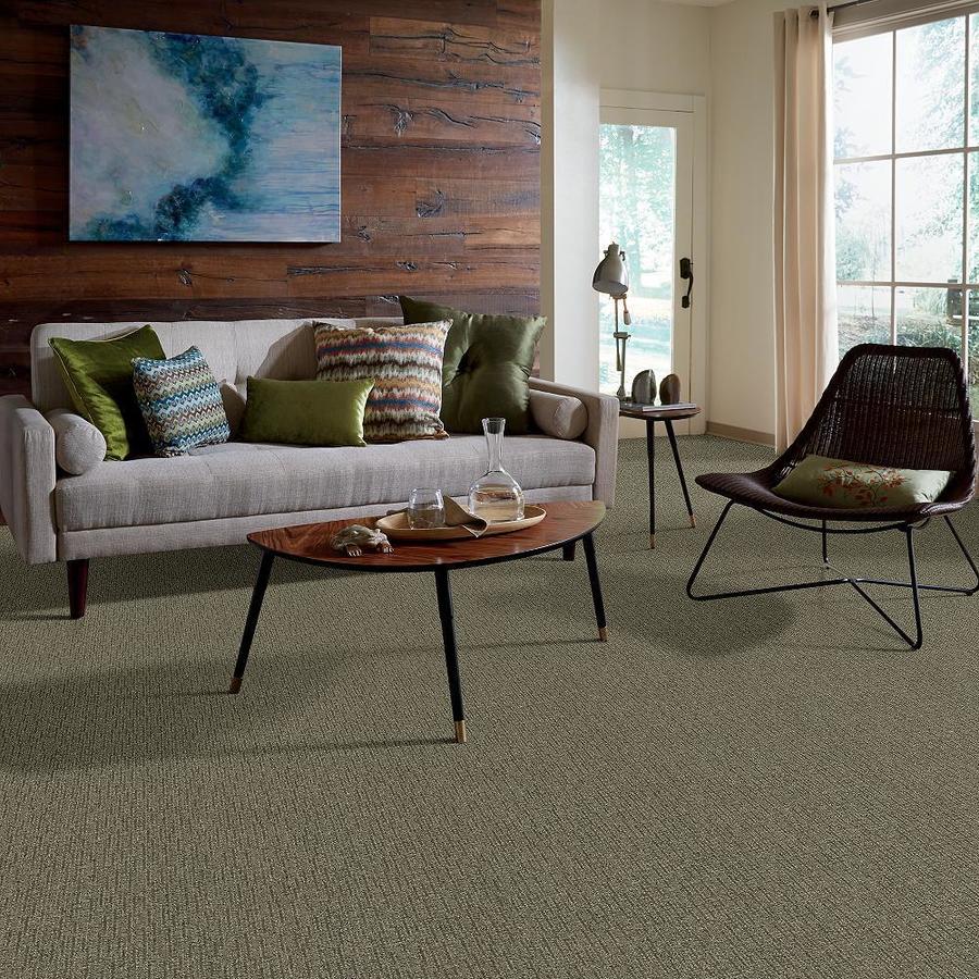 STAINMASTER 7L60700731  - View #6