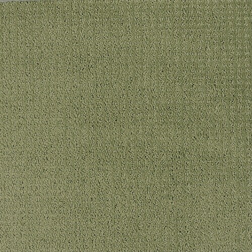 Shaw Green Fashion Forward Indoor Carpet in the Carpet department at