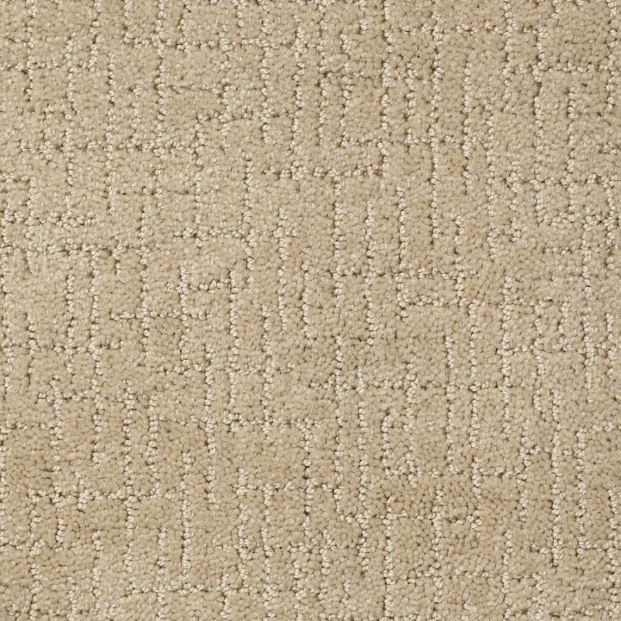 STAINMASTER Active Family Summer Tan Berber Indoor Carpet at