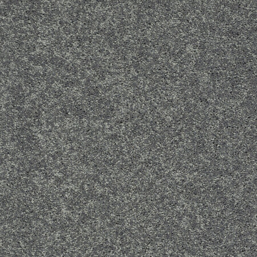 Simple Select Pacific Rim Carpet at Lowes.com