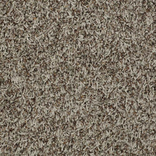 Simple Select Chaps Shag/Frieze Interior Carpet in the Carpet