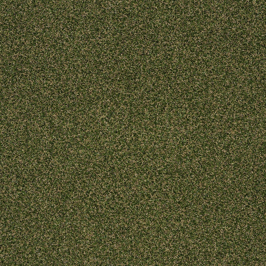 Shaw Home And Office Sea Gr Berber Loop Interior Exterior Carpet Shaw Home And Office Sea Gr Berber Loop Interior Exterior Carpet