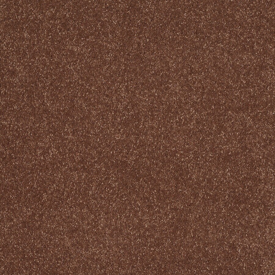 STAINMASTER TruSoft Luscious II (S) Tuscany Carpet in the Exterior ...
