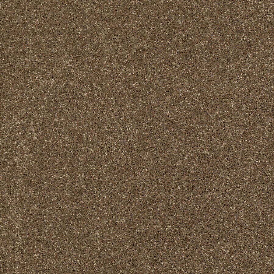 STAINMASTER TruSoft Luscious II (S) Tea Wash Carpet at Lowes.com