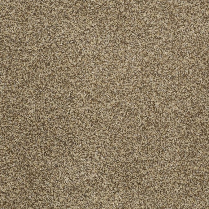 STAINMASTER Signature Private Oasis II Sahara Gold Textured Carpet (Interior) in the Carpet