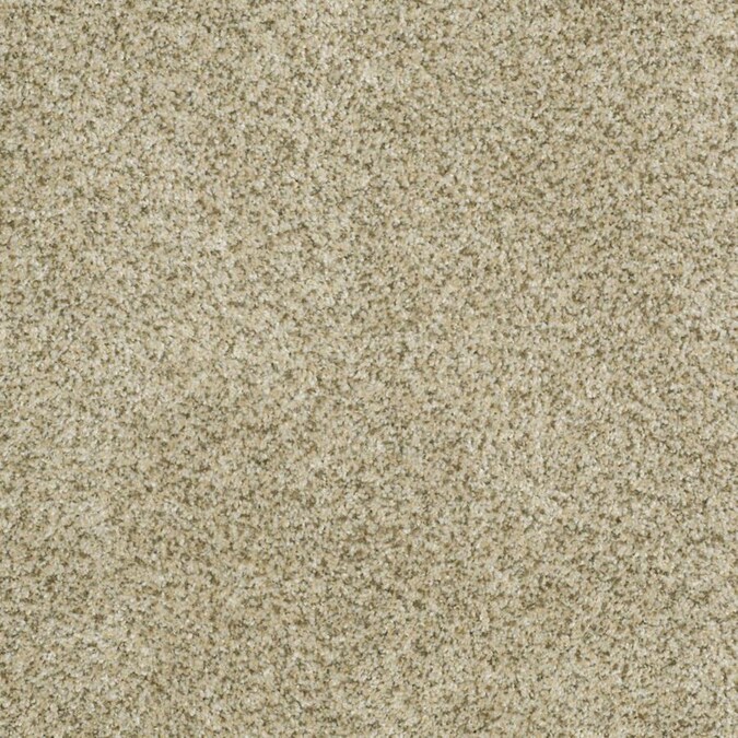 STAINMASTER Signature Private Oasis II Sea Foam Textured Carpet (Interior) in the Carpet