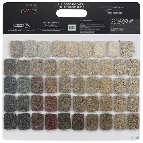 Shaw Multi Carpet Sample (Interior) in the Carpet Samples department at