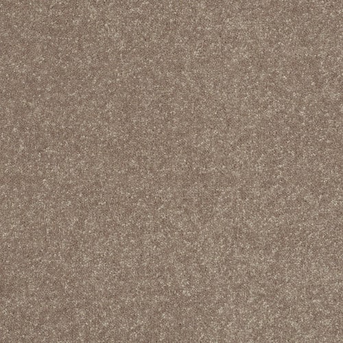 STAINMASTER Essentials Intuition III 12ft Brown/Tan Textured Carpet