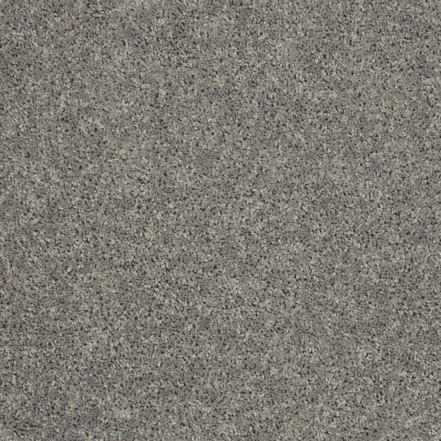 Shop STAINMASTER Essentials Allegiance S 12ft W x CuttoLength Gray