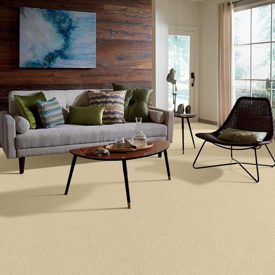STAINMASTER 7L53000504 Carpet-Panel - View #6