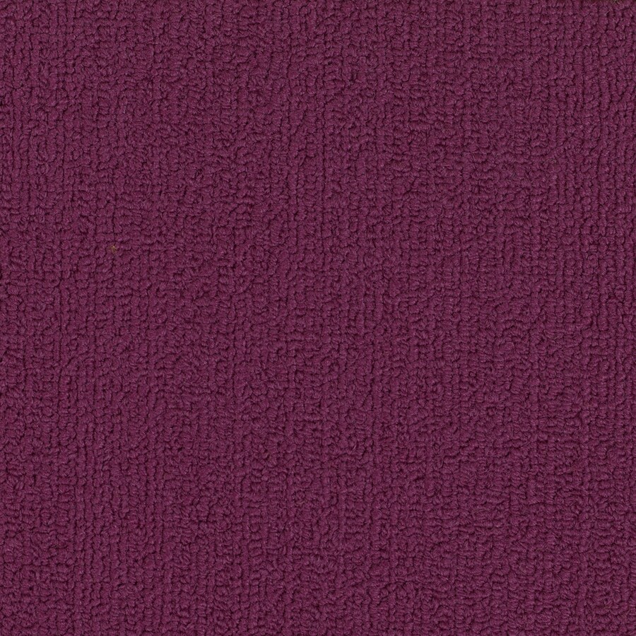 Shaw 48Pack 24in x 24in Calypso Commercial Loop GlueDown Carpet