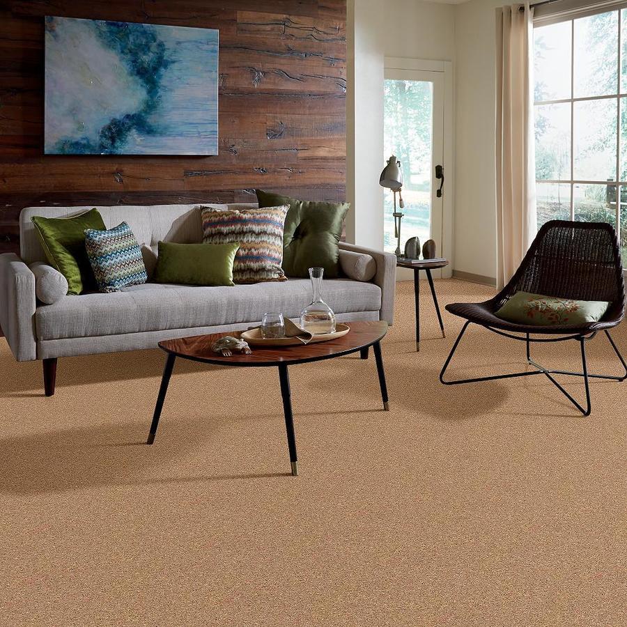 STAINMASTER 7L54500201  - View #6
