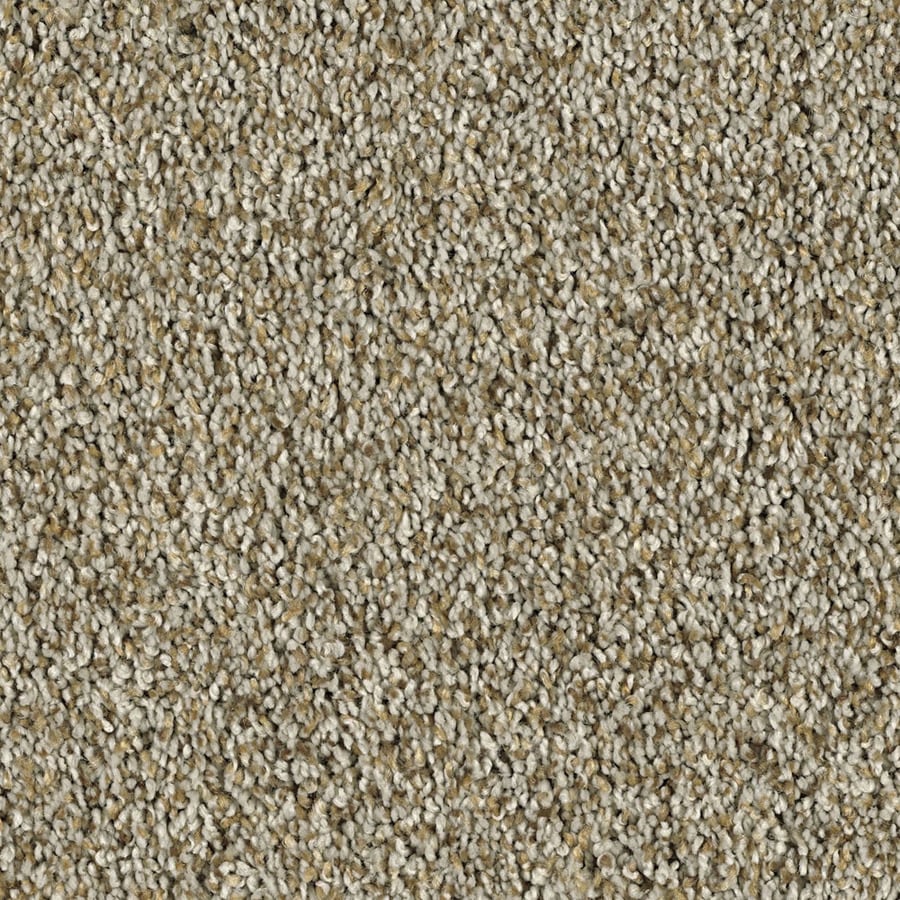 Shaw Essentials Soft and Cozy II T 12ft W Pebble Path Textured