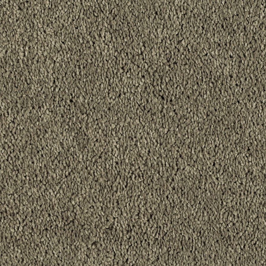 STAINMASTER Essentials Soft and Cozy III- S 12-ft Textured Tall Mocha Interior Carpet