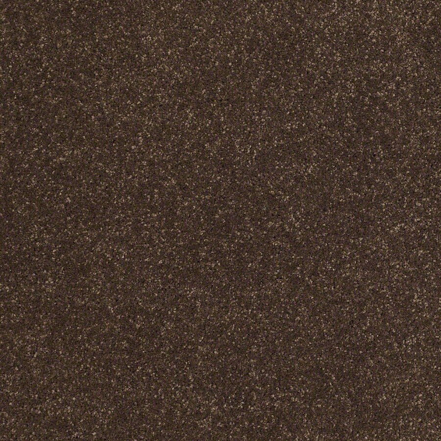 STAINMASTER TruSoft Luscious IV (S) Dark Chocolate Textured Indoor