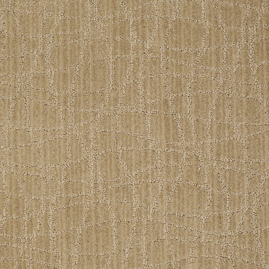 STAINMASTER Active Family Holly Springs Crushed Cashew Berber/Loop
