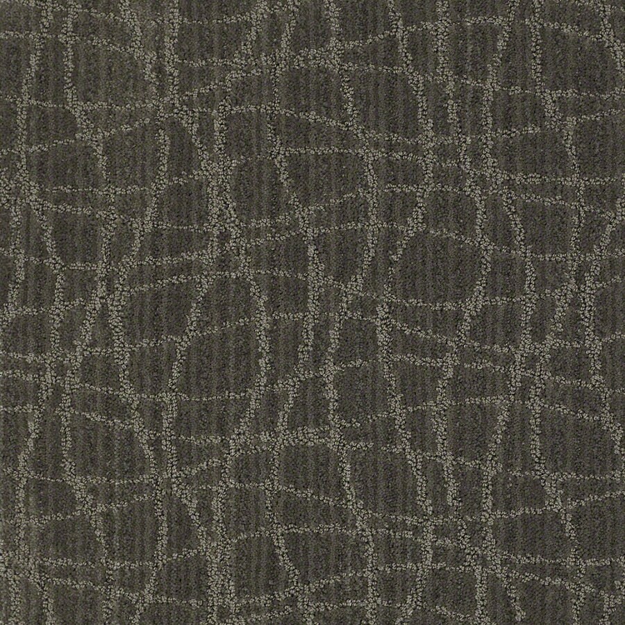 Shop STAINMASTER Active Family Holly Springs 12ft W Skyline Steel