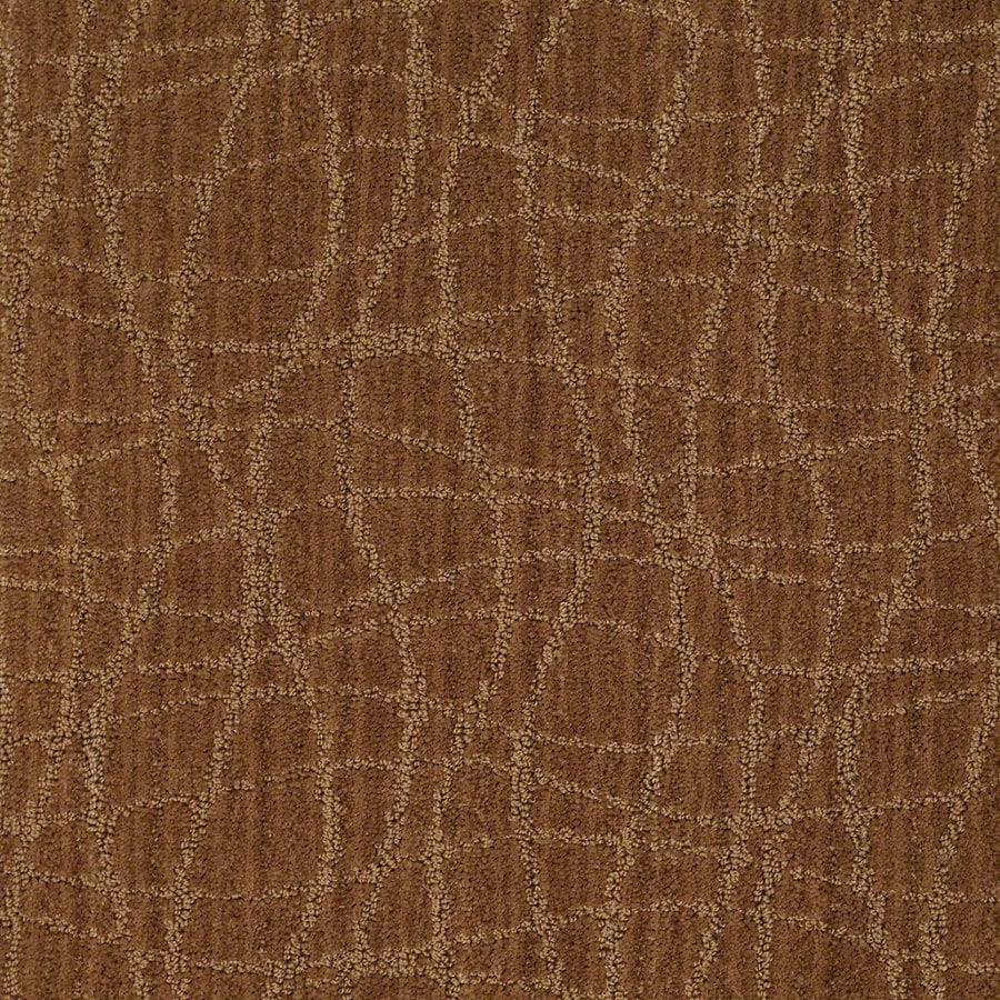 Shop STAINMASTER Active Family Holly Springs 12ft W Melted Copper