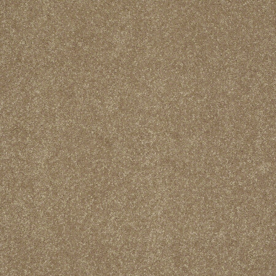 shop shaw stock 15 ft w x cut to length latte textured interior carpet at lowes com shop shaw stock 15 ft w x cut to length latte textured interior carpet at lowes com