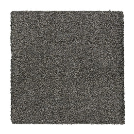 Blue Carpet At Lowes Stainmaster Essentials Stone Peak Ii 12 Ft Textured Interior Carpet