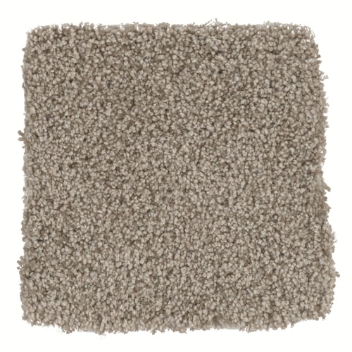 STAINMASTER TruSoft Over Achiever Tranquility Textured Indoor Carpet in ...