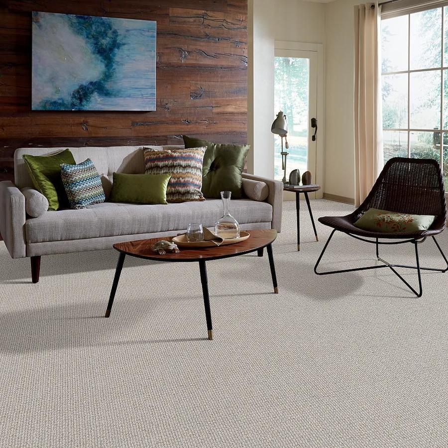 STAINMASTER 7L62100542  - View #6