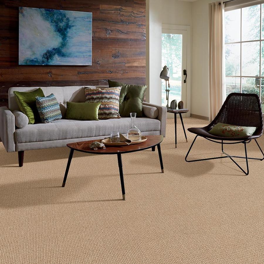 STAINMASTER 7L62100723  - View #6