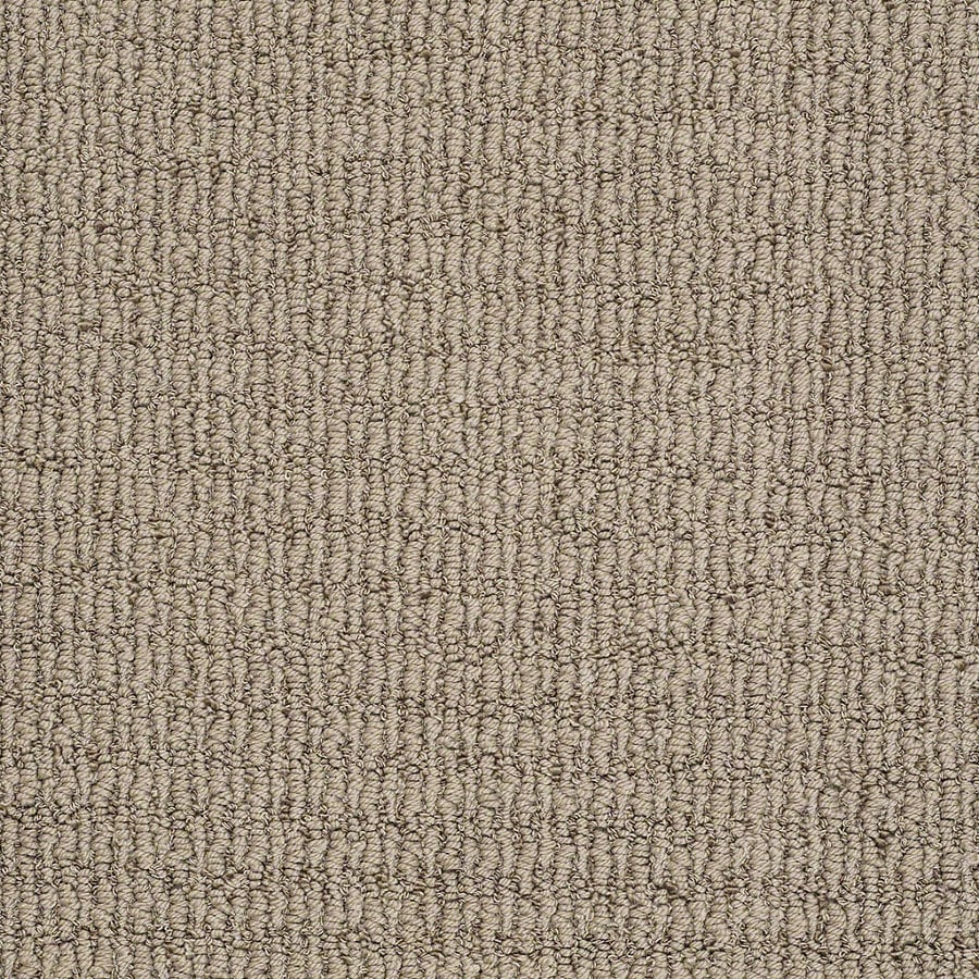 Shop STAINMASTER TruSoft Uneqivocal 12ft Berber/Loop Interior Carpet