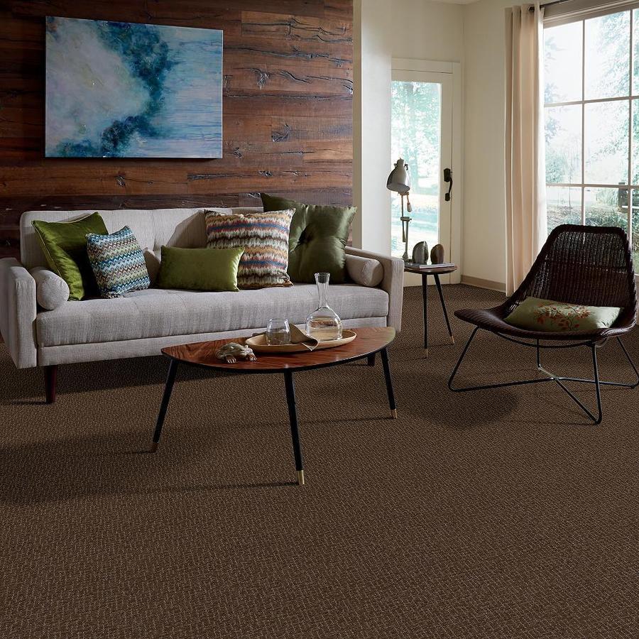 STAINMASTER 7L62500739  - View #6