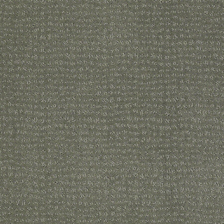 STAINMASTER Undisputed 12-ft Berber/Loop Agave Green Interior Carpet