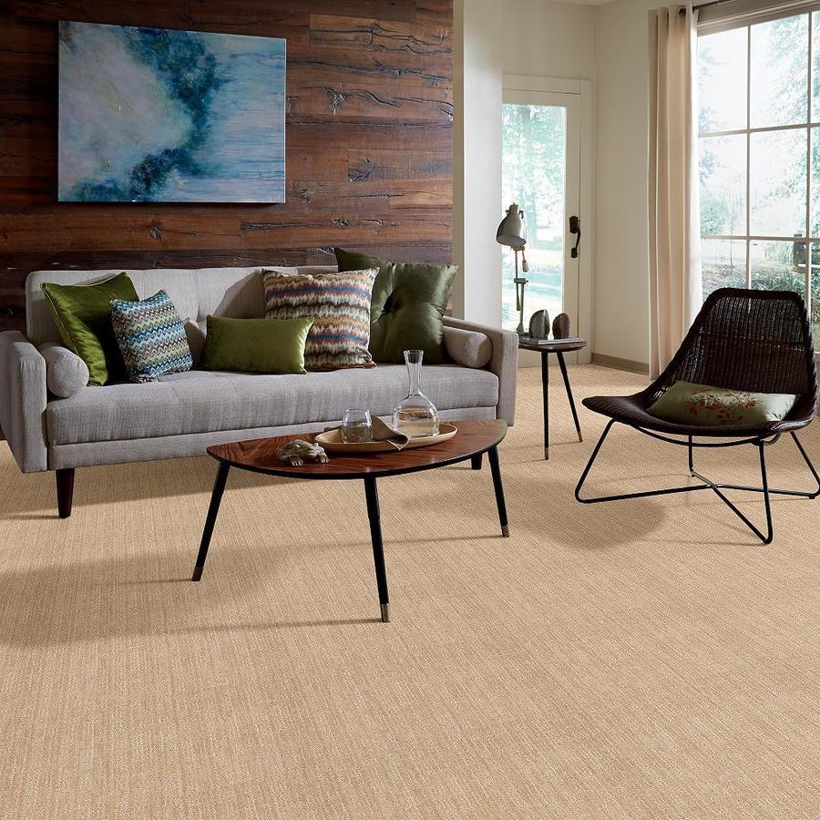 STAINMASTER 7L62900122  - View #6