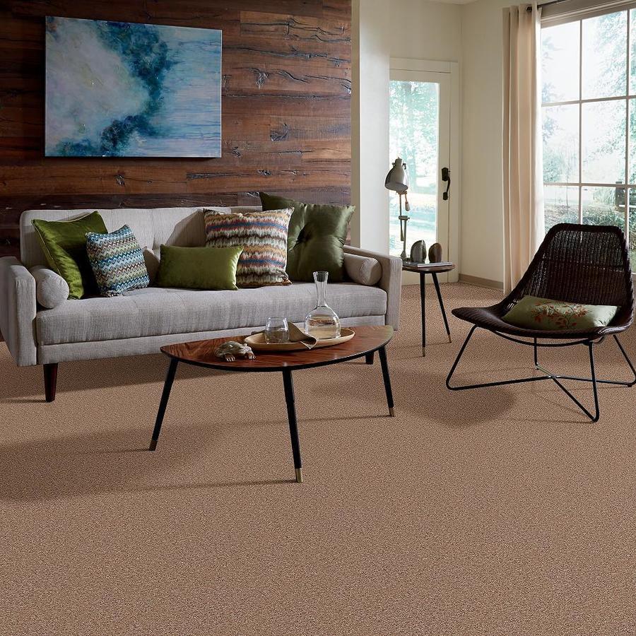 STAINMASTER 7L63100513  - View #6