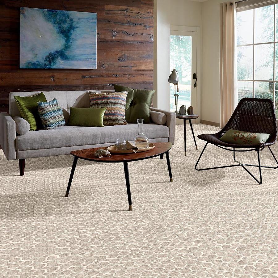 STAINMASTER All the Rage Plaza Taupe Berber/Loop Interior Carpet